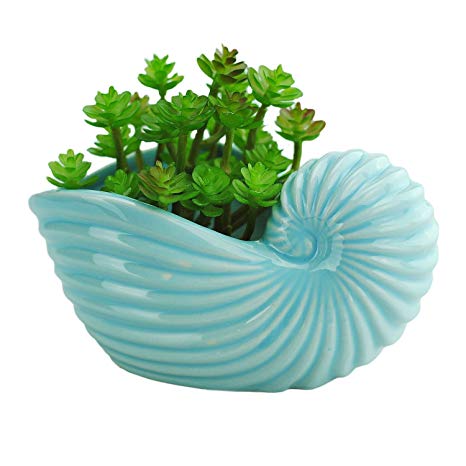 VanEnjoy 5" Ceramic Succulent Pot, Cute Ocean Blue Seashell Series, Conch Shaped Cactus Pot Planter, Flower Pot, Pottery Bonsai Pot (Seashell C)