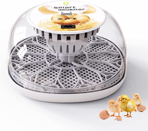 Meuiosd Egg Incubator 12-24 Eggs Automatic Intelligent Incubators for Hatching Eggs，with Automatic Turner and Temperature Control Small Poultry Incubator for Hatching Chicken Quail Duck Bird Eggs