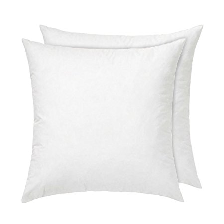 Fasisa Premium Hypoallergenic Throw Pillow Insert Sham Square Form Polyester (2, 18"x18")