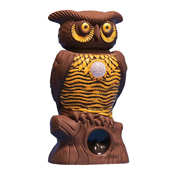 BulbHead Owl Alert Owl Statue — Pesticide-Free Pest Control — Targets Outdoor Pests Like Racoons, Deer, Rabbits, Squirrels, Mice — Plastic Owl Statue with Light-Up Eyes for Fence & Garden