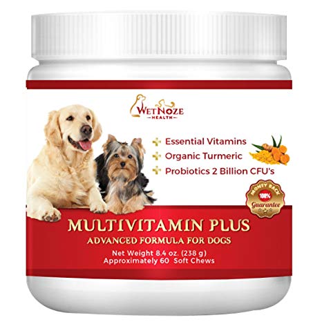 WetNozeHealth Vitamins for Dogs - Canine Multivitamin Supplement with Organic Turmeric and Probiotics for Large and Small Dogs, Chicken Flavor - 60 Soft Chews