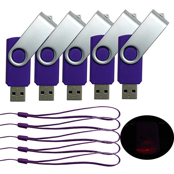 CaseBuy Bulk Portable Fold Storage Thumb USB 2.0 Flash Memory Drive 1GB 1G 5pack   5pcs Lanyards (1GB,Purple)