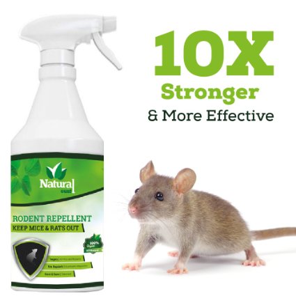 Natural Oust Mouse Repellent Spray - All Natural Essential Oil Formula (16 oz) - Deters All Types of Mice, Rats and Small Rodents
