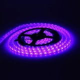 Generic 5M 164Ft RGB 5050SMD 300LED Waterproof Flexible LED Light Strip lamp  44Key IR Remote Supports Max 5 meters of RGB LED flexible strips