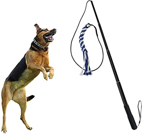 SYOOY Dog Flirt Pole Extendable Teaser Wand Pet Interactive Toy with 1 Cotton Rope for Training Outdoor Chew Play Toys for Training Exercise