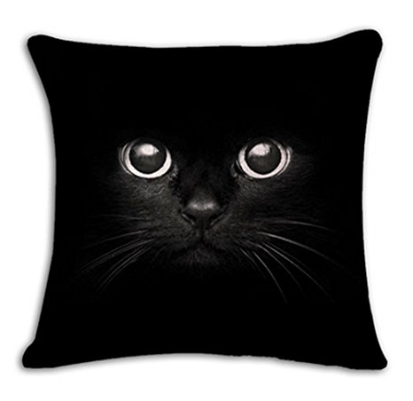 Lyn Cotton Linen Square Throw Pillow Case Decorative Cushion Cover Pillowcase for Sofa 18 "X 18 " Black and white cat (5)