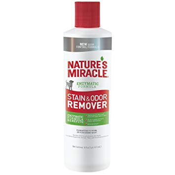 Nature’s Miracle Stain and Odor Remover for Dogs, Enzymatic Formula Dog Stain & Odor Remover