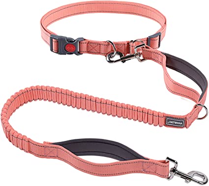 VIVAGLORY Hands Free Dog Leash with Durable Padded Dual-Handle Bungee Leash for Medium and Large Dogs, Reflective Waist Leash for Training Running Walking Jogging