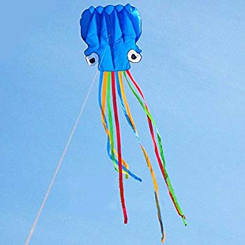 5M Octopus Foil Kite, Come with Handle & String, Beach Park Garden Playground Outdoor Fun
