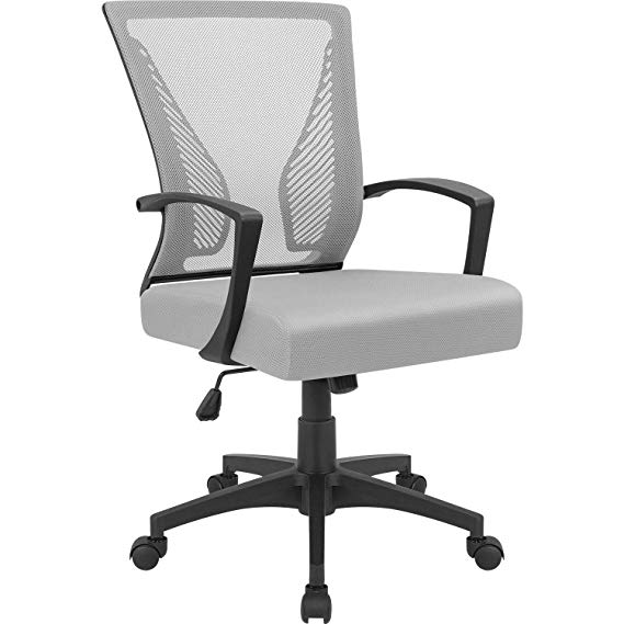 BOSSIN Office Chair Mid Back Swivel Lumbar Support Desk Chair, Computer Ergonomic Mesh Chair with Armrest (Gray)