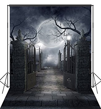 Ouyida Halloween Horror Night 6X9FT CP Pictorial cloth Photography Background Computer-Printed Vinyl Backdrop TP17