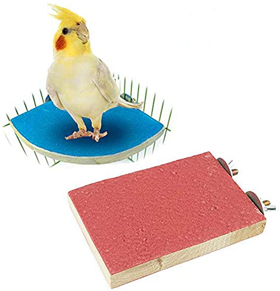 kathson Bird Perch Platform, Parrot Sanded Stand Wooden Corner Shelf Fan Shaped Cage Playground for Parrots Conures Budgies Parakeets Cockatiels Lovebirds