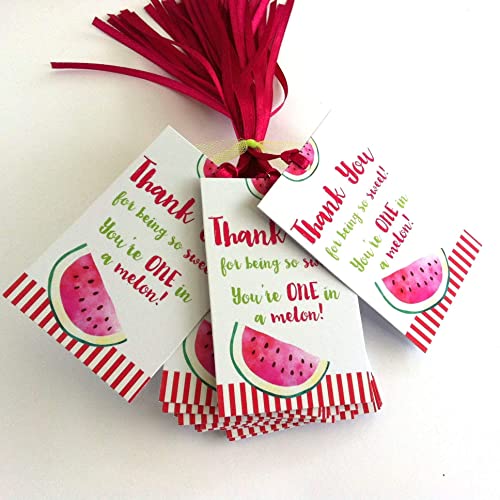 Watermelon Thank You Favor Tags - Children Birthday Baby Shower Summer Party - Set of 24