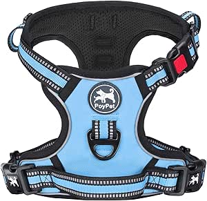 PoyPet No Pull Dog Harness, [Release on Neck] Reflective Adjustable No Choke Pet Vest with Front & Back 2 Leash Attachments, Soft Control Training Handle for Small Medium Large Dogs(Light Blue,XL)