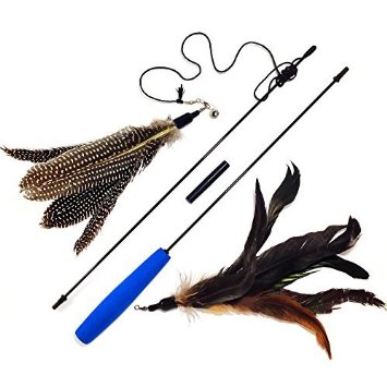 Pet Fit For Life 2 Feather Teaser and Exerciser For Cat and Kitten - Cat Toy Interactive Cat Wand