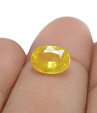 Yellow Sapphire Stone Original Certified Loose Precious Pukhraj Gemstone 7.25 Ratti