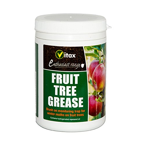 Vitax 200g Fruit Tree Grease