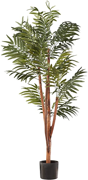 Pure Garden Palm Tree, 5-Feet