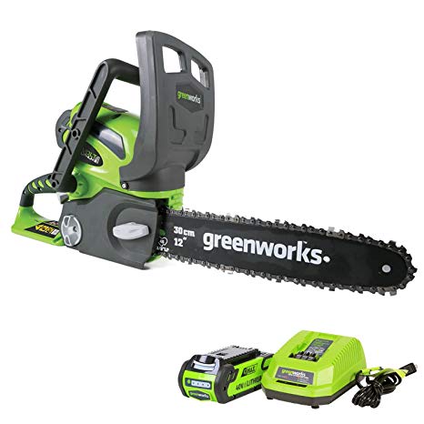 Greenworks 12-Inch 40V Cordless Chainsaw, 2.0 AH Battery Included 20262