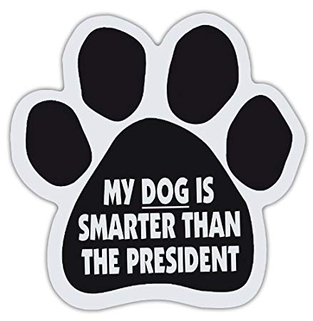 Dog Paw Shaped Magnets: MY DOG IS SMARTER THAN THE PRESIDENT (Anti Donald Trump) | Dogs