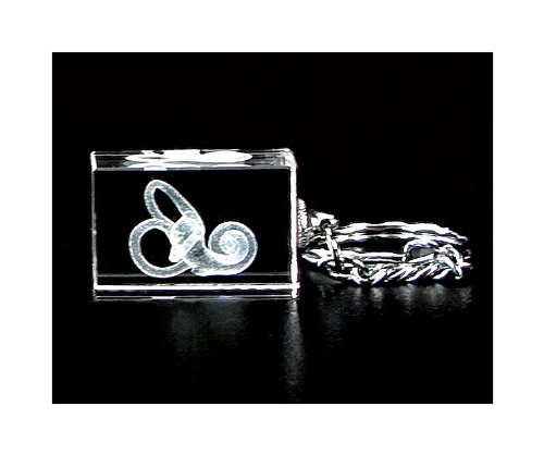 Cochlea 3d Laser Crystal Key Chain, Anatomy, Doctors, Audiologist, Deaf