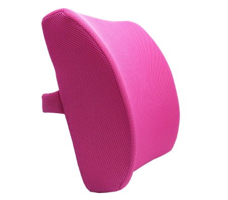 Love Home Memory Foam 3d Ventilative Mesh Lumbar Support Cushion Back Cushion - Alleviates Lower Back Pain - (Rose Red)