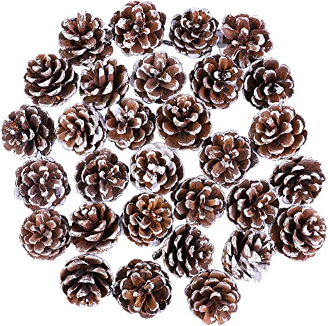 Cooraby 30 Pieces 3-4 cm Mini Christma Pine Cones Holiday Pinecones Xmas White Pine Cones Fall Thanksgiving Christmas Party Decoration for DIY Crafts