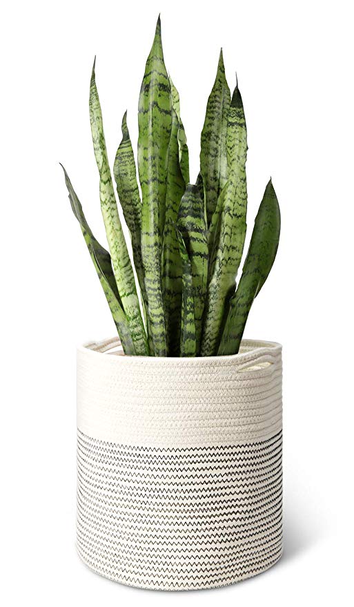 Mkono Cotton Rope Plant Basket Modern Indoor Planter Up to 11 Inch Pot Woven Storage Organizer with Handles Home Decor, 12" x 12"