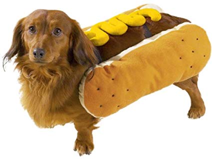 Casual Canine Hot Diggity Dog with Mustard Costume for Dogs, 14" Small/Medium