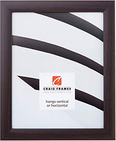 Craig Frames 23247778 24 by 30-Inch Picture Frame, Smooth Wrap Finish, 1-Inch Wide, Brazilian Walnut Brown