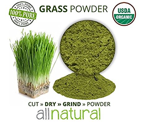 1 LB (16 OZ) Organic Whole Wheat Grass Wheatgrass POWDER, 100% Pure