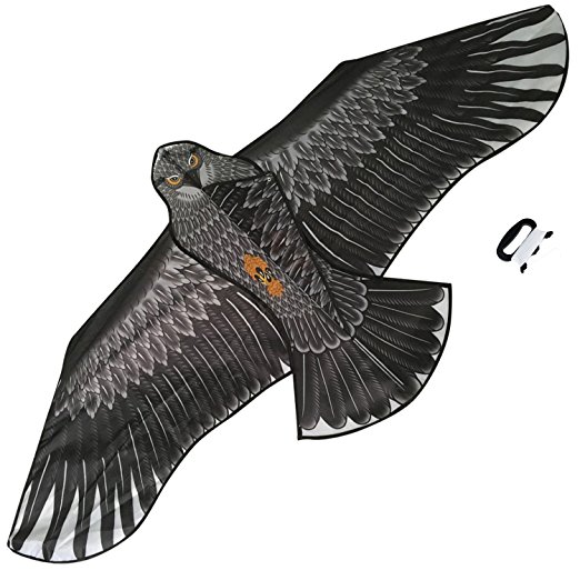 Large Eagle Kite (Black) for Kids and Adults - Huge Wingspan and Lifelike Design - Easy to Assemble & Fly