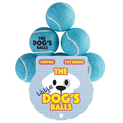 The Little Dog's Balls - 6 Small Dog Tennis Balls, Premium Mini Dog Toy for Puppies & Small Dogs, For Exercise, Play, Training & Fetch. the King Kong of Little Dog Balls