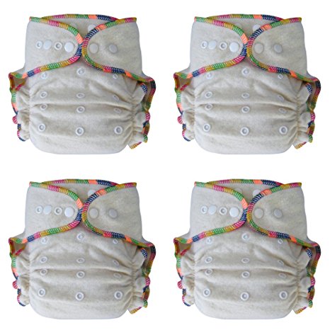 Heavy Wetter Baby Night Fitted Cloth Diaper with 2 Inserts, One Size 10-30 Lb, Hemp /Organic Cotton, 4-pack