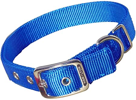 Hamilton Double Thick Nylon Deluxe Dog Collar, 1-Inch by 22-Inch, Blue
