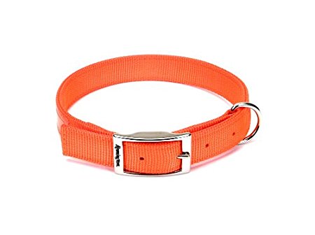 Remington Orange Reflective Dog Collar