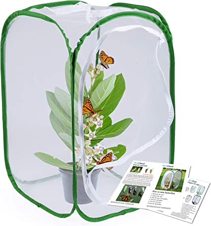 23.6" Large Butterfly Habitat Insect Cage Caterpillars Enclosure Pop-up Clear View 6 Mesh Panels 15.7 x 15.7 x 23.6 Inches Tall