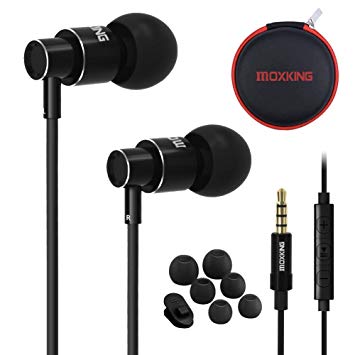 Wired Metal in Ear Earphones Headphones with Microphone Volume and Case, Bass Stereo Noise Isolating In ear Earphones Ear Buds for Cell Phones, Aluminum Alloy, Carabiner, 3.5mm Jack … (black)