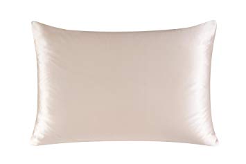 Townssilk Both Side 100% 19mm Silk Pillowcase Queen Size Pillow Case Cover with Hidden Zipper Taupe