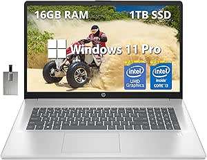 HP 17.3" IPS FHD Business Laptop, Intel Core i3-N305 Processor, 16GB RAM, 1TB SSD, Intel UHD Graphics, Full-size Keyboard, HD Camera, Wi-Fi 6, Windows 11 Pro, Natural Silver, 32GB Hotface USB Card