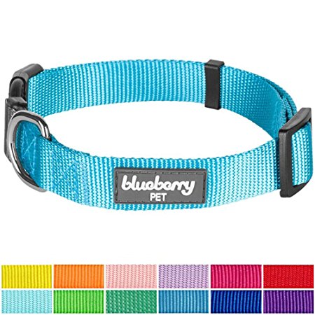 Blueberry Pet Solid Color Collar Collection, 12 Colors Classic Nylon Dog Collars & Seat Belts, 17 Colors Personalized Collars, Matching Leash Harness Available Separately