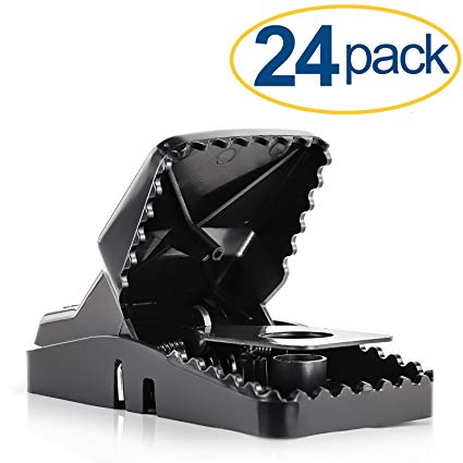 Large Powerful Rat Traps (24 Pack) - Kills Instantly with Powerful Steel Spring - Setup in Seconds - Wash & Reuse Over & Over - Hands Free Disposal - Rat Control without Harmful Poisons or Chemicals