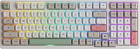 Akko 9009 3098 98-Key RGB Hot-swappable Mechanical Gaming Keyboard, 2.4G Wireless/Bluetooth/Wired with PBT Double-Shot Keycaps for Mac & Win (3098B, Jelly White Switches)