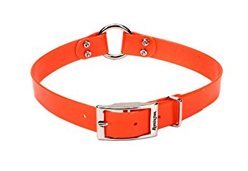 Remington Orange  Waterproof Dog Collar