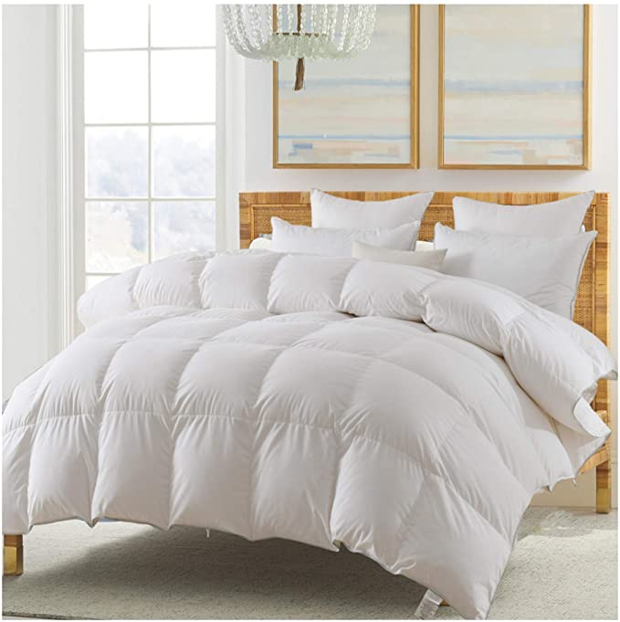 KASENTEX 100% Cotton Hotel Luxury Comforter with Plush Grey Piped Edge, White Goose Down and Feather Fill - 450 Fill Power 76oz, All Season Duvet Insert, King Size