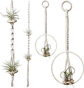 POTEY 603201 2 Pack Hanging Air Plant Holders - Different Design Hanging Air Plants Live Holders for Tillandsia Display Air Plant Hanger Minimalist Style for Boho Decor 35.4''/19.7'',Ivory