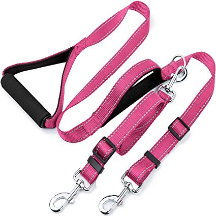 Dual Dog Leash for Two Dogs, Basic 6 Ft Dog Training Walking Leash with 2 Padded Handles, Double Dog Leash for 2 Dogs