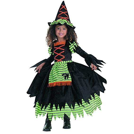 Story Book Witch Costume (Girl's Toddler Children's Costume)
