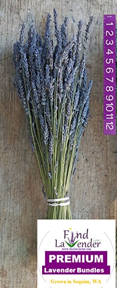 Findlavender - Lavender Dried Premium Bundles - 22 to 24" Guaranteed! - 130 to 150 Stems - Can Be Used for Any Ocassion - Perfect for your wedding! - 1 Bundle Pack
