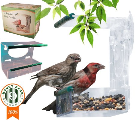 Father's Day Sale: Window Bird Feeder with Removable Tray, Compartments & Drainage Holes, See-Through Clear Acrylic for Wild Bird Watching, Mounted Design to Hang with Suction Cups, Easy Refilling, Cleaning and Squirrel Proof